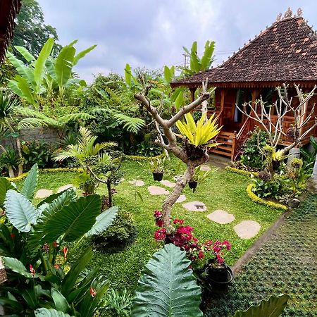 Jane'S House & Spa Bedugul Bali Patjung Exterior foto